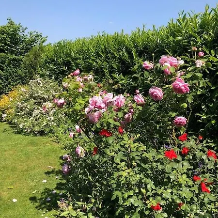 La Fermette D'hacquegnies דירה