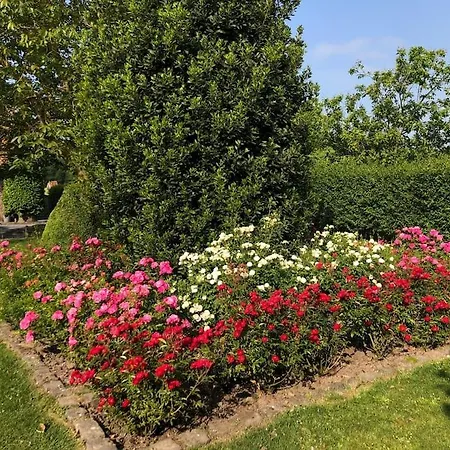 La Fermette D'hacquegnies דירה *